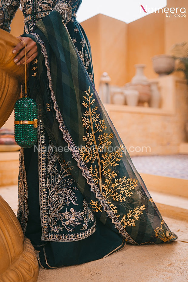 Embroidered Party Wear Dress Pakistani for Women Dupatta Look