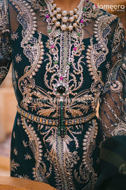 Embroidered Party Wear Dress Pakistani for Women Neckline Embroidery