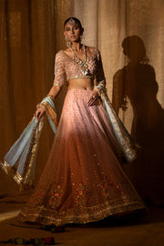 Embroidered Raw Silk Lehenga Choli Pakistani Wedding Dress