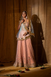 Embroidered Raw Silk Lehenga Choli 