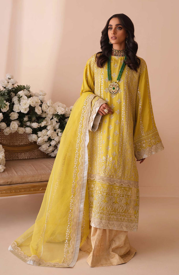 Embroidered Salwar Kameez Dupatta Pakistani Party Wear