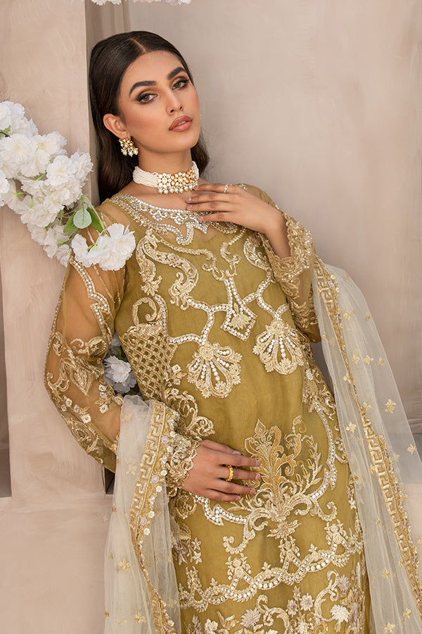 Embroidered Salwar Kameez Pakistani Eid Dress