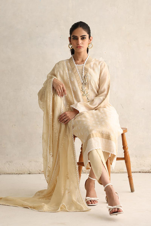 Embroidered Salwar Kameez