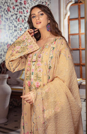 Embroidered Skin Cotton Salwar Kameez Pakistani Dresses