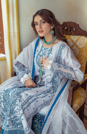 Embroidered Suit in Kameez Trouser Style