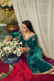 Embroidered Velvet Salwar Kameez Pakistani 