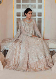Embroidered Walima Dress in Ivory White