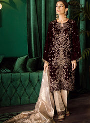 Beautiful Pakistani embroidered velvet party dress in burgundy color