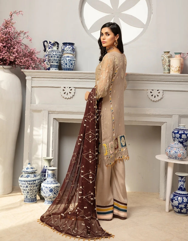 Embroidered Beige Chiffon Dress