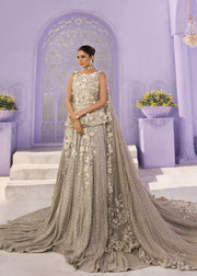 Latest Pakistani Embroidered bridal dress 2020 in silver color # B3466