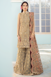 Fancy Pakistani Gharara Dress in Beige Shade