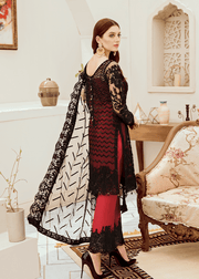 Beautiful fancy net dress in black and red color # P2283