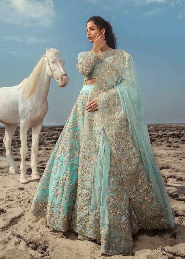 Ferozi Lehenga Choli Bridal Dress Pakistani