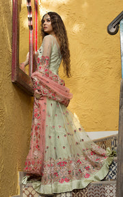 Festive Net Frock For Wedding Party  Backside Look