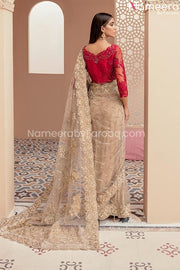 Formal Pakistani Dress
