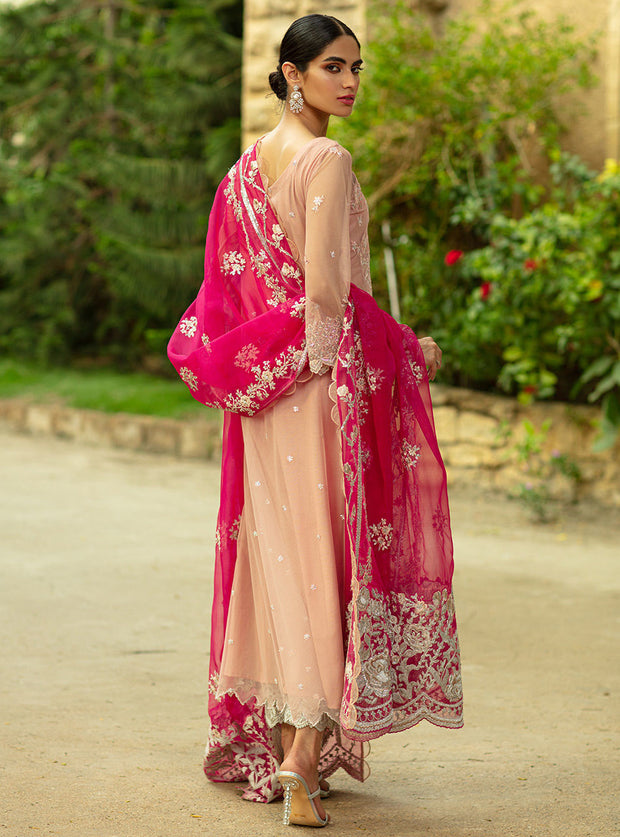 Formal Pakistani Dress in Soft Baby Pink Shade 2022
