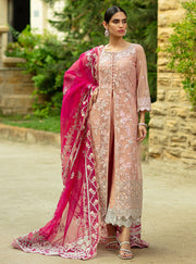 Formal Pakistani Dress in Soft Baby Pink Shade