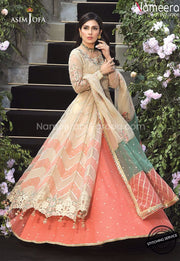 Wedding Party Dress Pakistani 