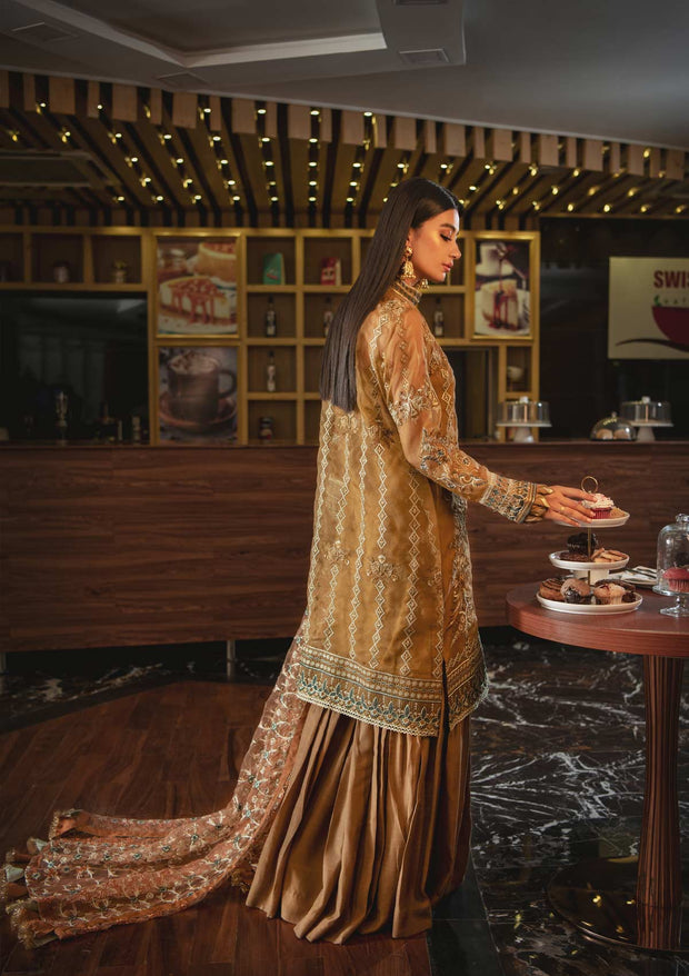 Gharara Dress Pakistani in Rusty Brown Color Latest