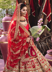 Gold Red Lehenga Choli 