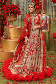Gold and Red Lehenga Choli Pakistani Wedding Dress