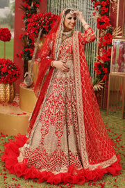 Gold and Red Lehenga Choli Pakistani Wedding Dresses