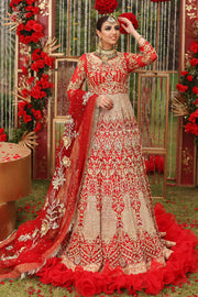 Gold and Red Lehenga Choli 