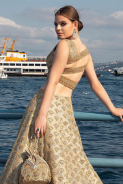 Golden Colour Lehenga Choli 