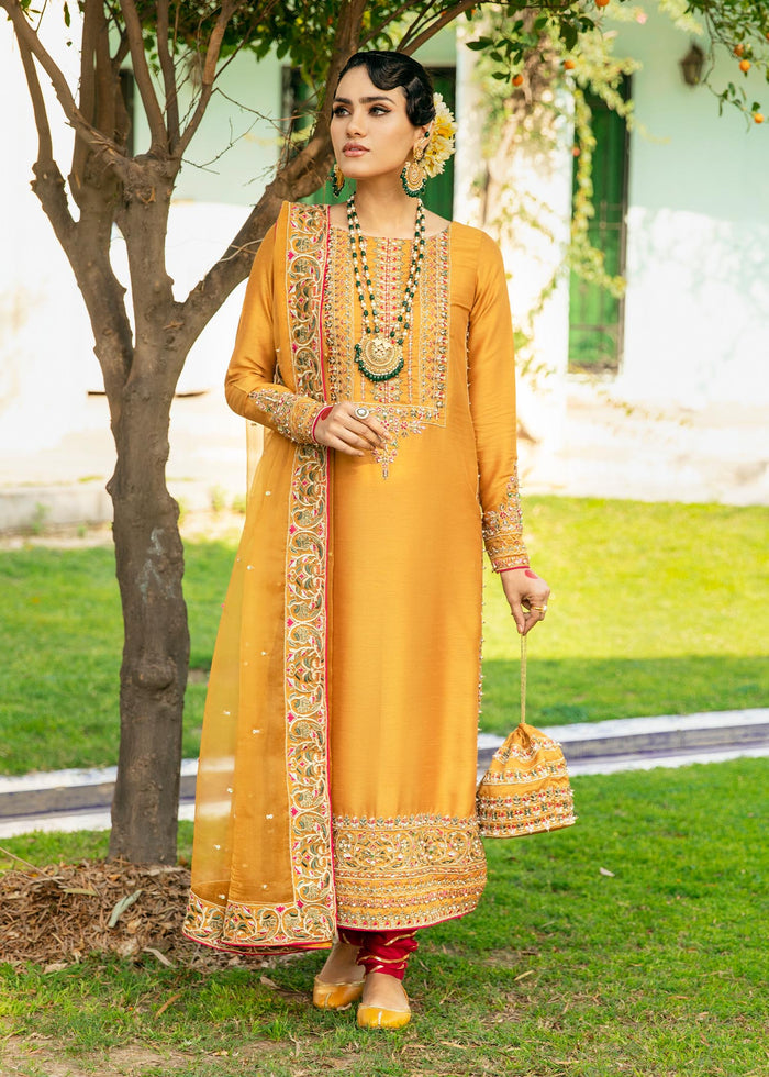HOT Silk Suit Salwar Suit Design Party Wear Silk Salwar Suits For