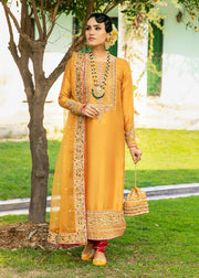 Plain Raw Silk Suits for Pakistani Wedding Party Wear