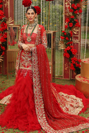 Golden Red Lehenga Choli Pakistani Wedding Dress