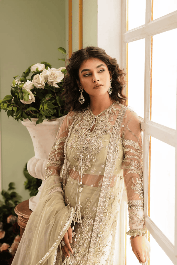 Green Pakistani Wedding Dress in Net Fabric