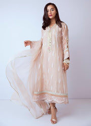 Beautiful hand worked Pakistani dress in beige color # P2274