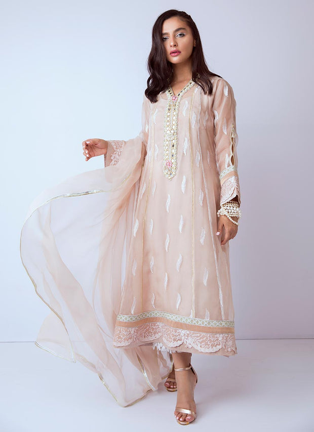 Beautiful hand worked Pakistani dress in beige color # P2274