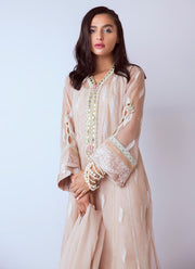 Beautiful hand worked Pakistani dress in beige color # P2274