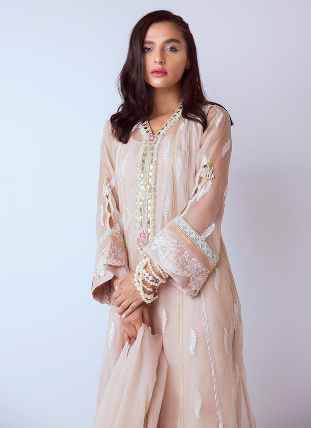 Hand worked Pakistani dresses in decent colors for party Nameera