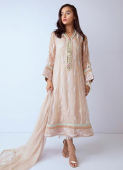 Beautiful hand worked Pakistani dress in beige color