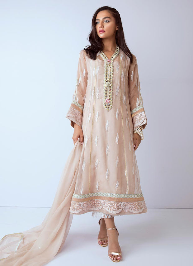 Beautiful hand worked Pakistani dress in beige color