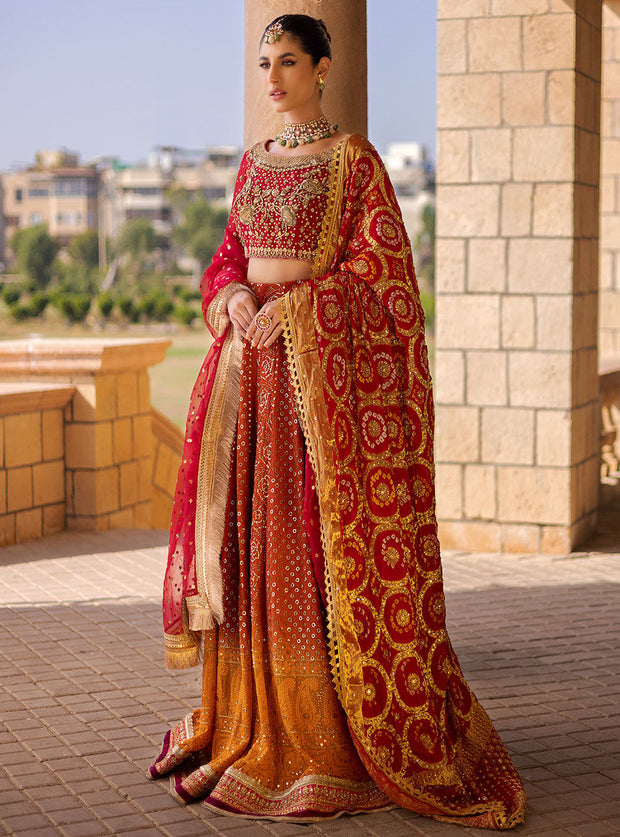 Heavy Bridal Red and Gold Lehnga Cholis Dress 