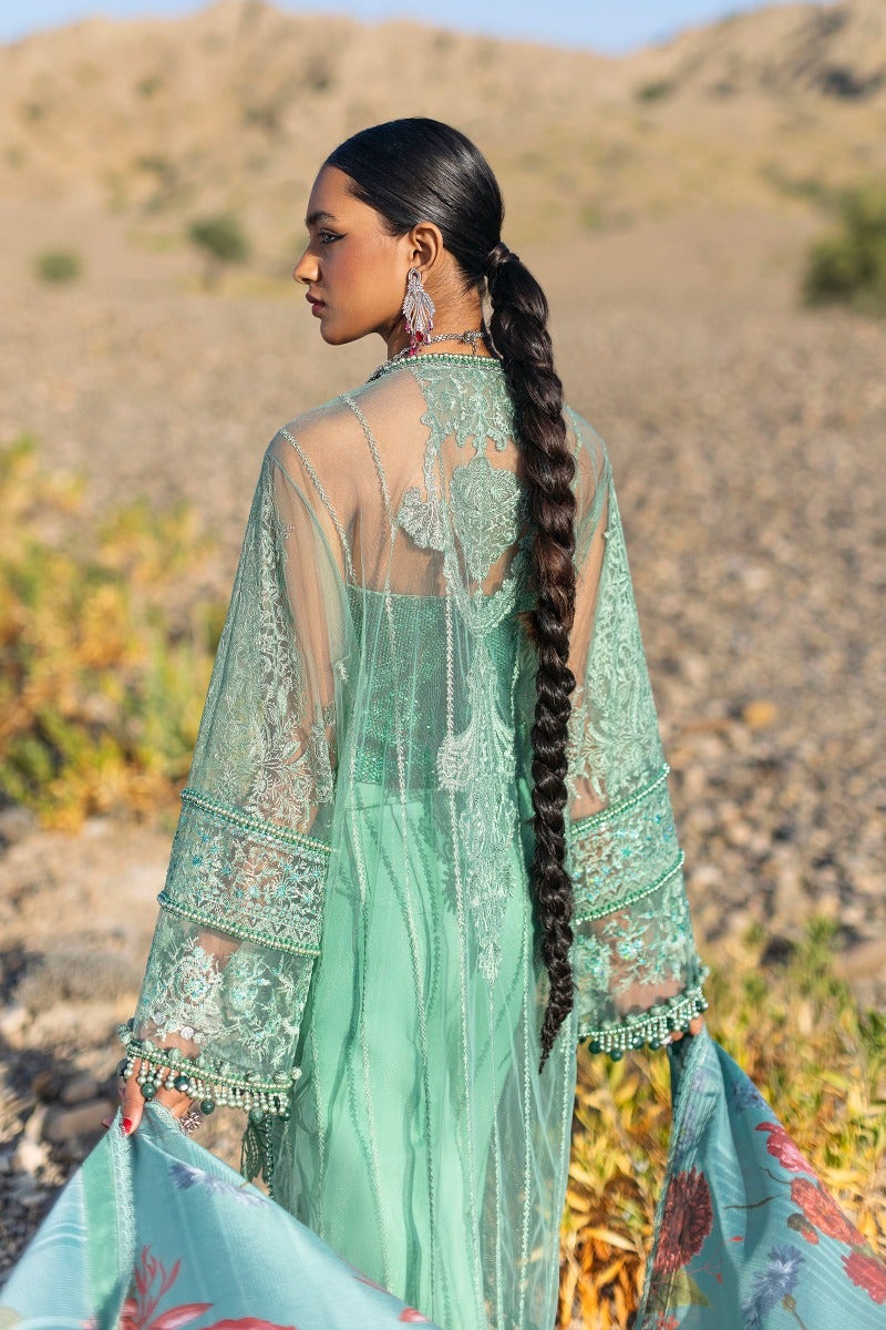 Heavy Chikankari Kameez Salwar Pakistani 
