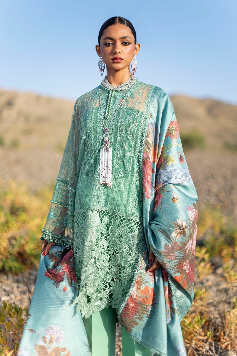 Heavy Chikankari Kameez Salwar Pakistani Party Dresses 2023