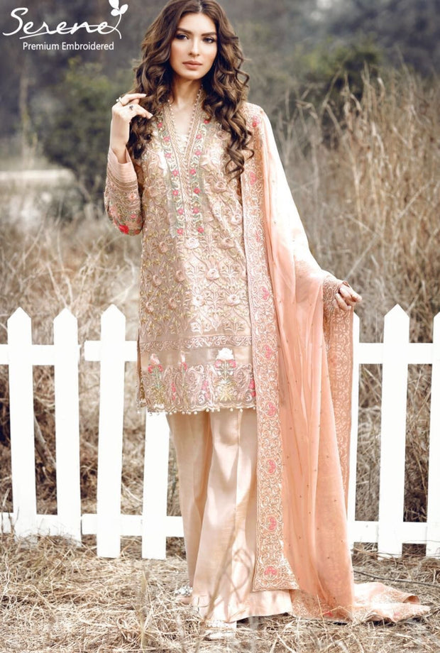 Chiifon dress by sareen Model#C 67