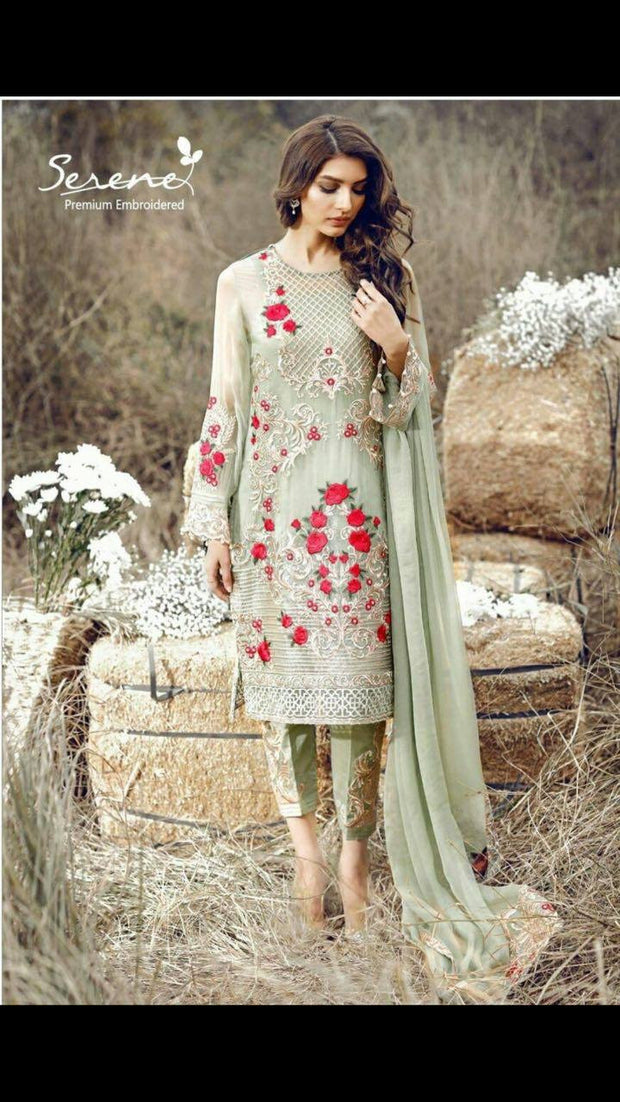 Chiffon dress by sareen Model#C 70