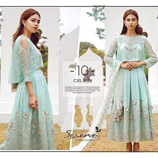 Chiffon dress by sareen with threds embroidery Model#C