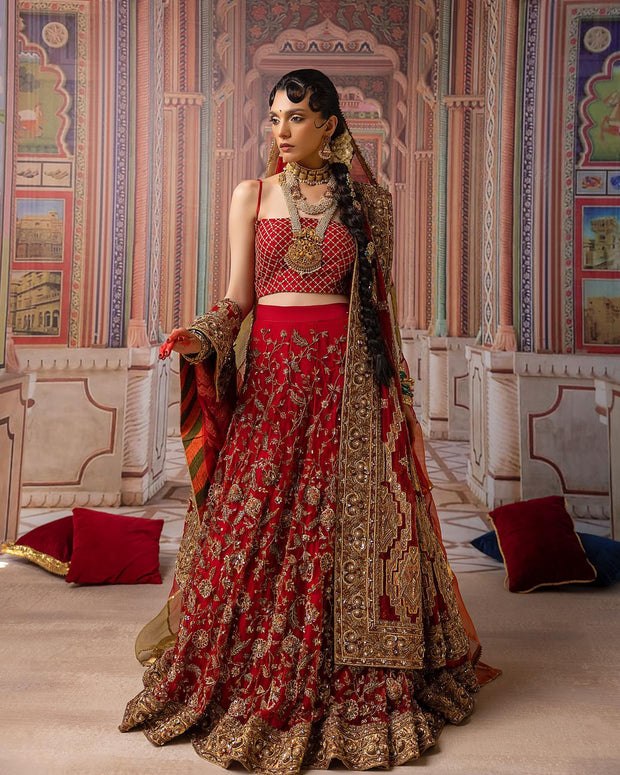 Indian Bridal Lehenga Choli and Dupatta Dress