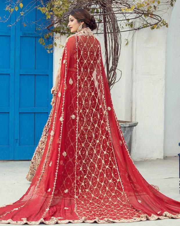Indian Gold Red Lehenga Combination