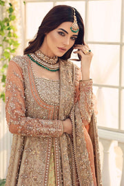Indian Long Frock Lehenga Design 