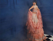 Indian Peach Bridal Lehnga Choli Dress 