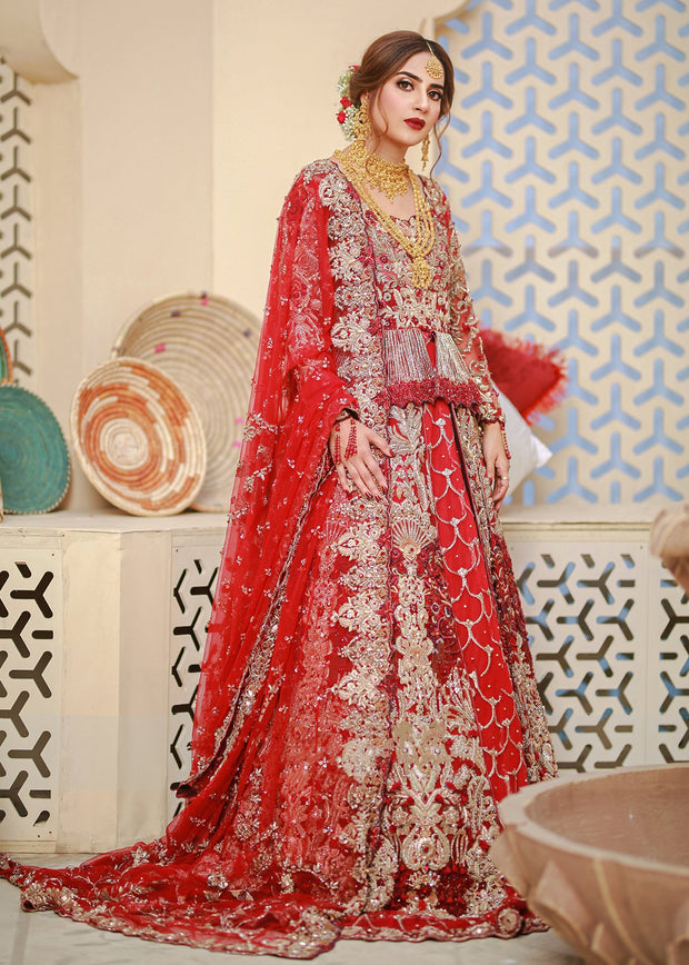 Indian Red Bridal Lehenga Choli Designer Dress