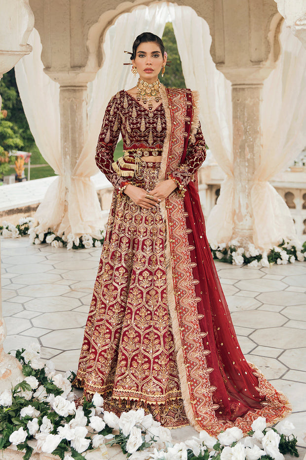 Indian Red Bridal Lehenga Choli and Dupatta Dress